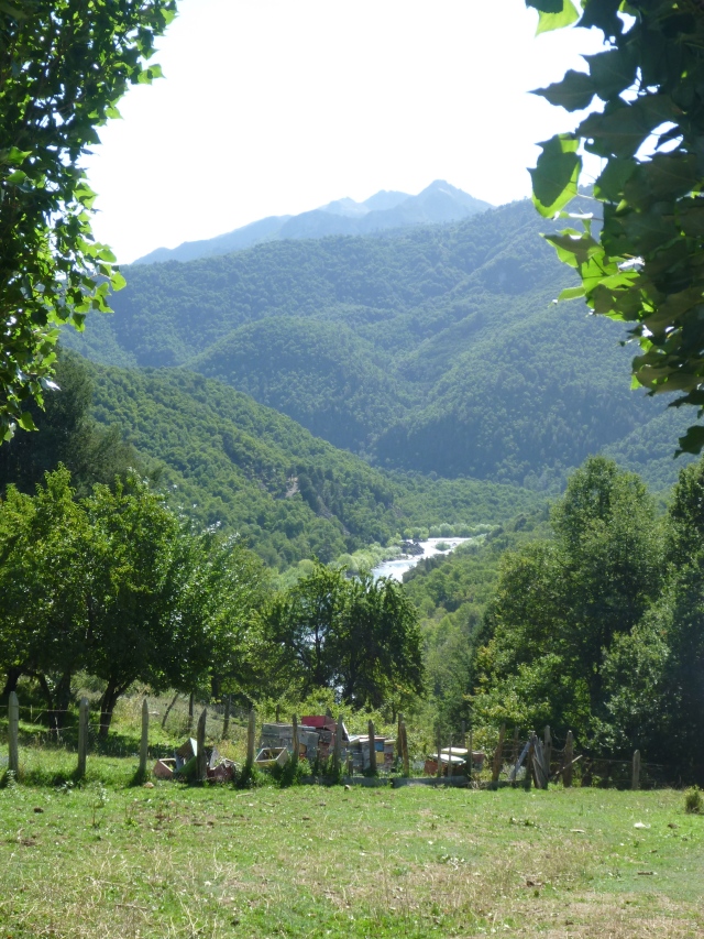 Bio Bio valley near Troyo